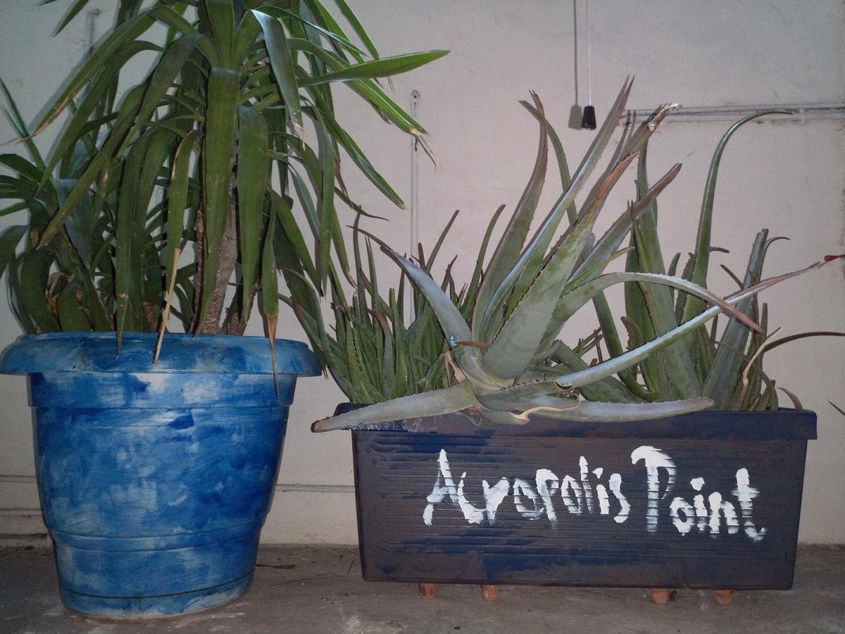 Cosy Apartment Acropolis Point-3 เอเธนส์ ภายนอก รูปภาพ